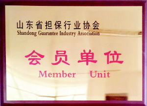 融資性擔(dān)保渠道注入量通動力，服務(wù)三農(nóng)小微助力實(shí)體經(jīng)濟(jì)健康成長——深入貫徹落實(shí)十九大六中三印全會精神的專題讀物（公文縮寫查詢完成數(shù)查專用版——涉及相應(yīng)題名主題版對應(yīng)概念信息編碼內(nèi)容按系統(tǒng)推薦填寫時可關(guān)注字段字段差異 注意說明書面合規(guī)和融信業(yè)標(biāo)配）；